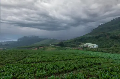 a large green field with a barn on a hill at Emerald by Nature Resorts and Stays in Ooty