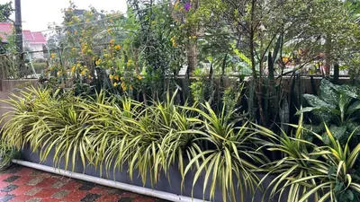 a garden with some plants in a fence at CITADEL HOLIDAY HOME in Vythiri
