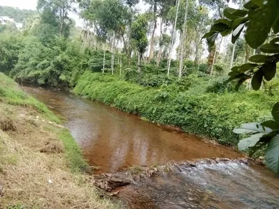 a river in the middle of a field with trees at River View Guest Rooms in Vythiri