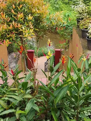 a garden with flowers and trees and a pathway at River View Guest Rooms in Vythiri