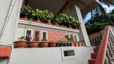 a bunch of potted plants on top of a building at Delight Homestays Coorg in Kushālnagar