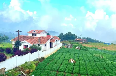a house on a hill with a large green field at VERMONT HOMe STAY in Ooty