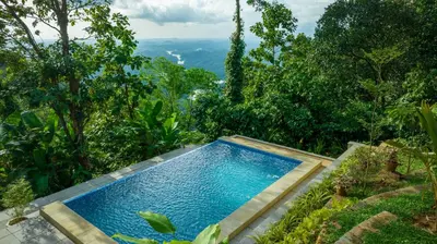 a swimming pool in the middle of a forest at amã Stays and Trails The Malabar Villa Hibiscus, Kozhikode in Puthuppādi