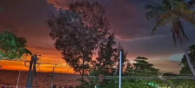 a palm tree with a sunset in the background at Sajeev Home Stay in Cherai Beach