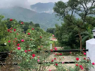 a garden with roses and mountains in the background at Maskan Home Stay in Kakkadampoyil