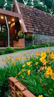 a garden of yellow flowers in front of a building at Coconut Valley in Neriyamangalam