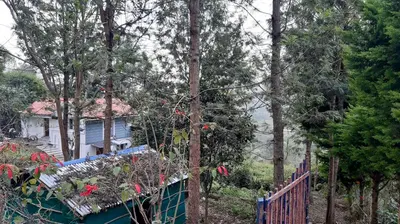 a house in the woods with a fence and trees at jacaranda resorts in Kanthalloor