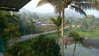 a view from a room with palm trees and a road at Souparnika Lakeview Homestay LLP in Wayanad