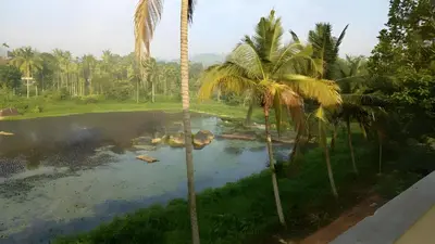 a pool of water with palm trees in a field at Souparnika Lakeview Homestay LLP in Wayanad