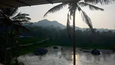 a view of a jungle with a palm tree at Souparnika Lakeview Homestay LLP in Wayanad