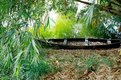 a boat sitting on the ground in a forest at Nisarga Ayurveda in Kizhake Chālakudi