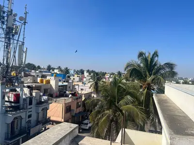 a view of a city with palm trees and buildings at Roof top couple stay cozy in Mysore