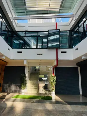 an office building with stairs and two potted plants at Queen C Inn Wayanad in Mānantoddy
