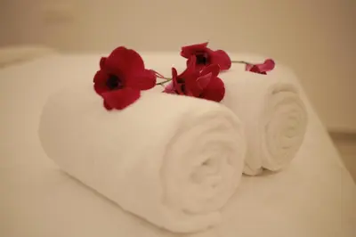 two rolls of toilet paper with red flowers on top at Humblebee Retreat Tattekkad in Kuttampuzha