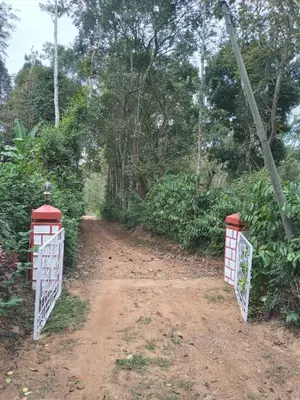 two gates on a dirt road in a forest at Coorg klusters estate stay in Virajpet