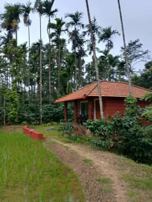 a small house with palm trees in the background at Nature Spot Cottages Coorg in Kurchi