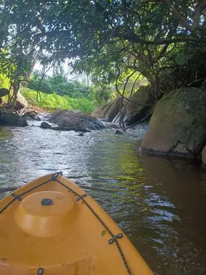 a yellow boat in the middle of a river at Nature Spot Cottages Coorg in Kurchi