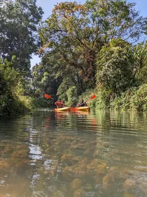 a group of people kayaking on a river at Nature Spot Cottages Coorg in Kurchi