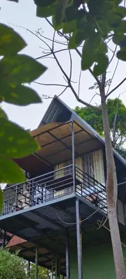 a building with a balcony and a tree at Angels Nest Home stay 2 Acra private plantation Mountain area balconey SunRice view Nearby Ngarhole wild life , Tholpetty wild life , Pakshipathalam Bird santuary , Kuruva island # Thirunelly & Thrissilery Temple Near by Secure Stay Wayanad Kerala in Chekadi