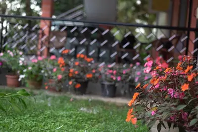 a garden with flowers in pots on a fence at Coorg Stream Side Homestay in Ponnampet