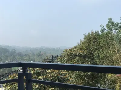 a view from the top of the tree top coaster at Western Ghats Holiday Home in Kalpetta