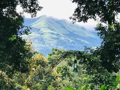 a mountain in the distance with a street light and trees at Western Ghats Holiday Home in Kalpetta