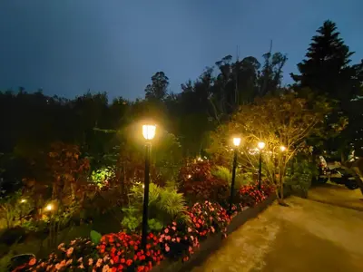 a row of lights in a garden at night at Pear Tree Entire 2BHK Villa Kotagiri in Kotagiri