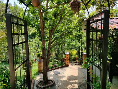 an entrance to a garden with a tree through a gate at Pear Tree Entire 2BHK Villa Kotagiri in Kotagiri