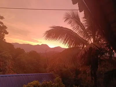a palm tree in front of a sunset at Paradise Homestays, Kanthalloor in Kanthalloor