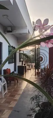 a view of a living room with a plant at Arasu Homestay in Antarasante