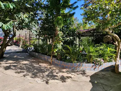 a garden with trees and plants on a sidewalk at Silver Spruce 2BHK Entire Floor Kotagiri in Kotagiri
