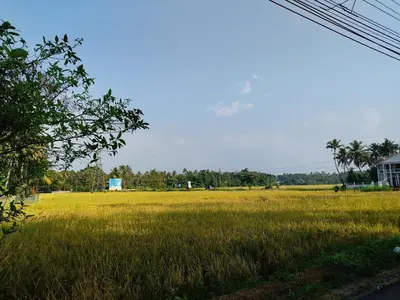 a field of green grass with a house in the background at COZY Homes in Nedumbassery