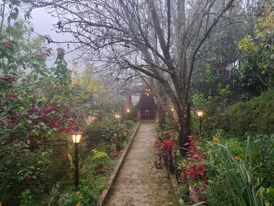 a garden with lights on a path with flowers at Silver Spruce Glass Villa 1BHK Kotagiri in Kotagiri