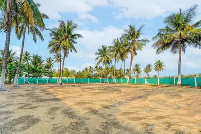 a group of palm trees on a sandy beach at Super Hotel O Avinashi Road Coimbatore in Coimbatore