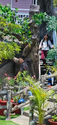 a man and a woman walking down the stairs in a garden at S & B Dreams House in Munnar
