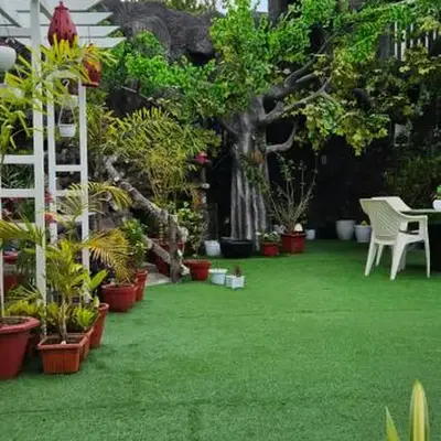 S & B Dreams House