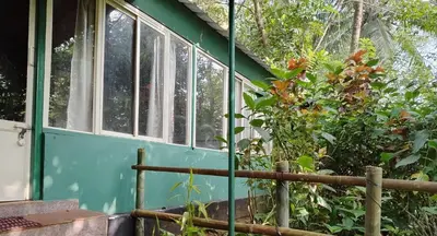 a green house with a window and a bush at Verdant Hillock in Wayanad