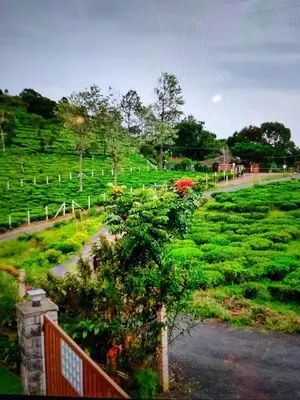 a view of a garden from a balcony at green home in Coonoor