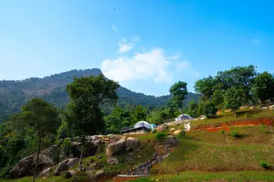 a grassy hill with houses on top of it at Nexstay Karimb Resorts in Vallikavungal