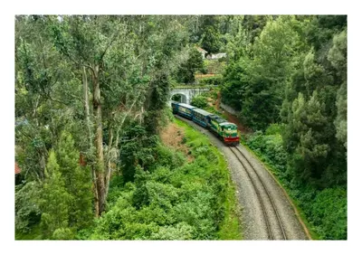 a train traveling down the tracks through a forest at Fortune Retreats in Ooty