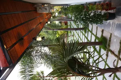 an overhead view of a patio with plants at GREEN MOUNT RESORTS in Malaiyāndipattanam