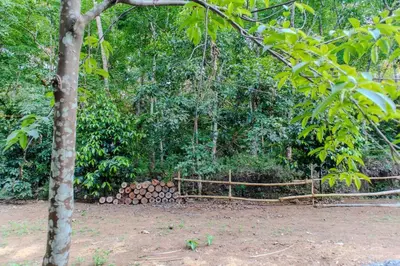a pile of logs in front of a forest at Peechi Green Valley in Pattikad