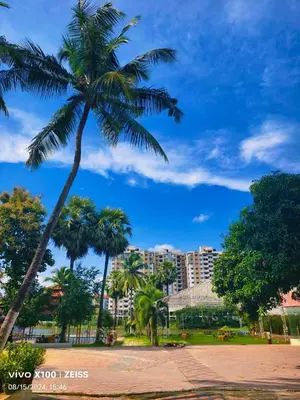 a palm tree in a park with a city in the background at Udaya Resort in Palakkad