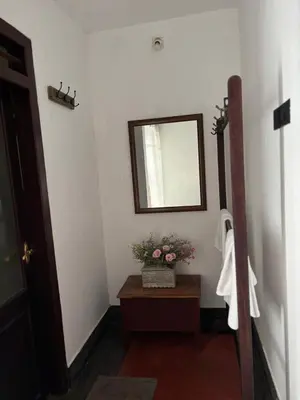 a bathroom with a mirror and a plant on a table at Vilayara Heritage Retreat in Kunnamangalam