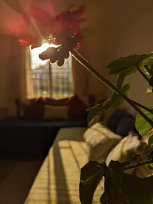 a vase with a flower on top of a bed at Bagaan - Tea Plantation Stay, Ooty in Aruvankadu