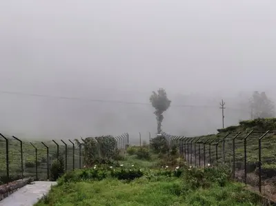 a fence in front of a field with flowers at Bagaan - Tea Plantation Stay, Ooty in Aruvankadu