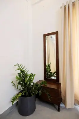 a mirror and a potted plant in a room at Eazy Homes in Palakkad
