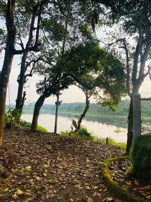 a view of a lake with trees and a swing at Winter Villa Karapuzha in Wayanad