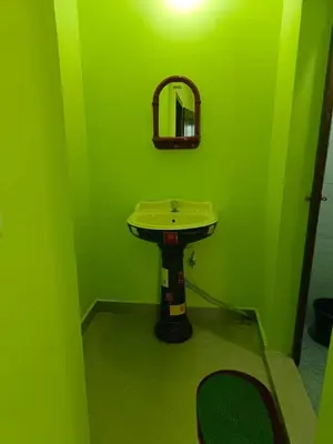 a green bathroom with a sink and a mirror at Pavithra cottage munnar in Munnar
