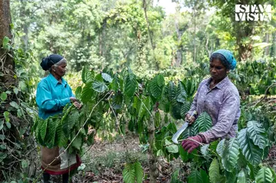 two women standing in a field of plants at StayVista at Lotus Lumiere with Breakfast & jacuzzi in Madikeri